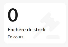 FAQ-025-OPPORTUNITES-ENCHERE DE STOCK_Page_13_Image_0004.jpg
