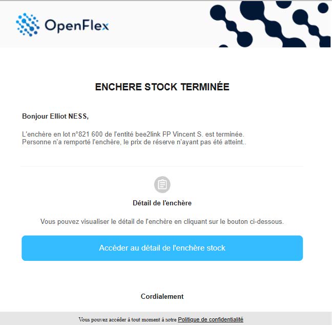 FAQ-025-OPPORTUNITES-ENCHERE DE STOCK_Page_19_Image_0002.jpg