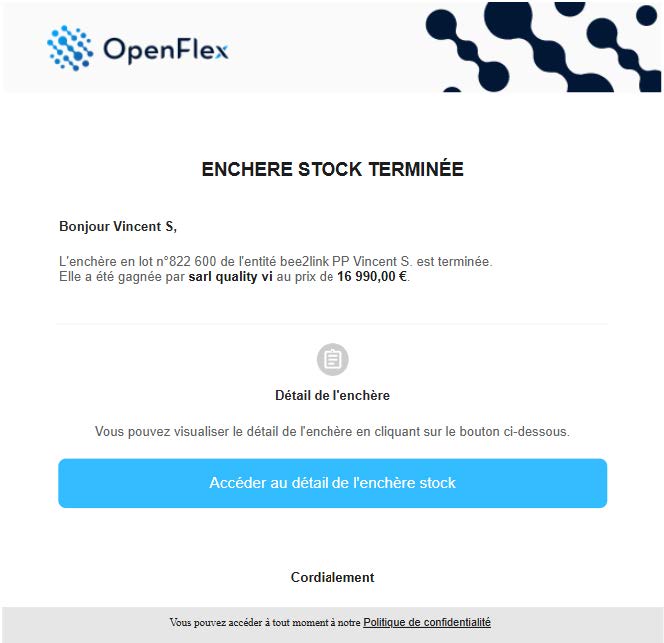 FAQ-025-OPPORTUNITES-ENCHERE DE STOCK_Page_20_Image_0004.jpg